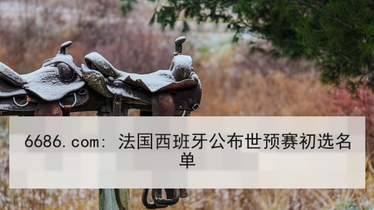 6686.com: 法国西班牙公布世预赛初选名单